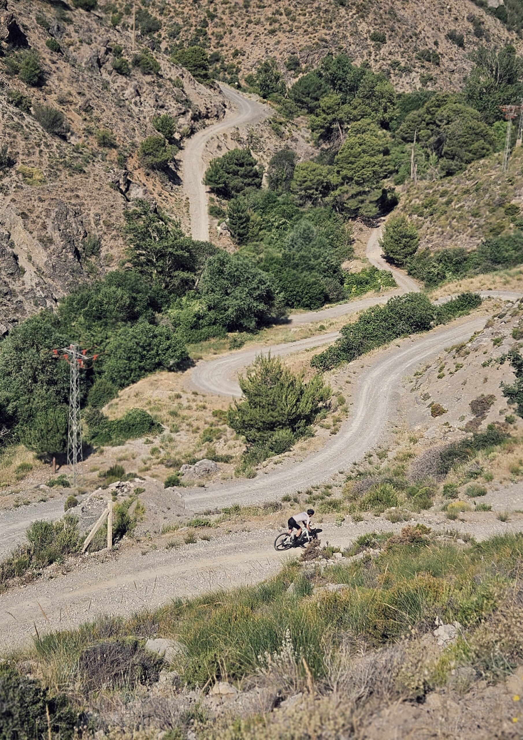 por favor, que sea un culo