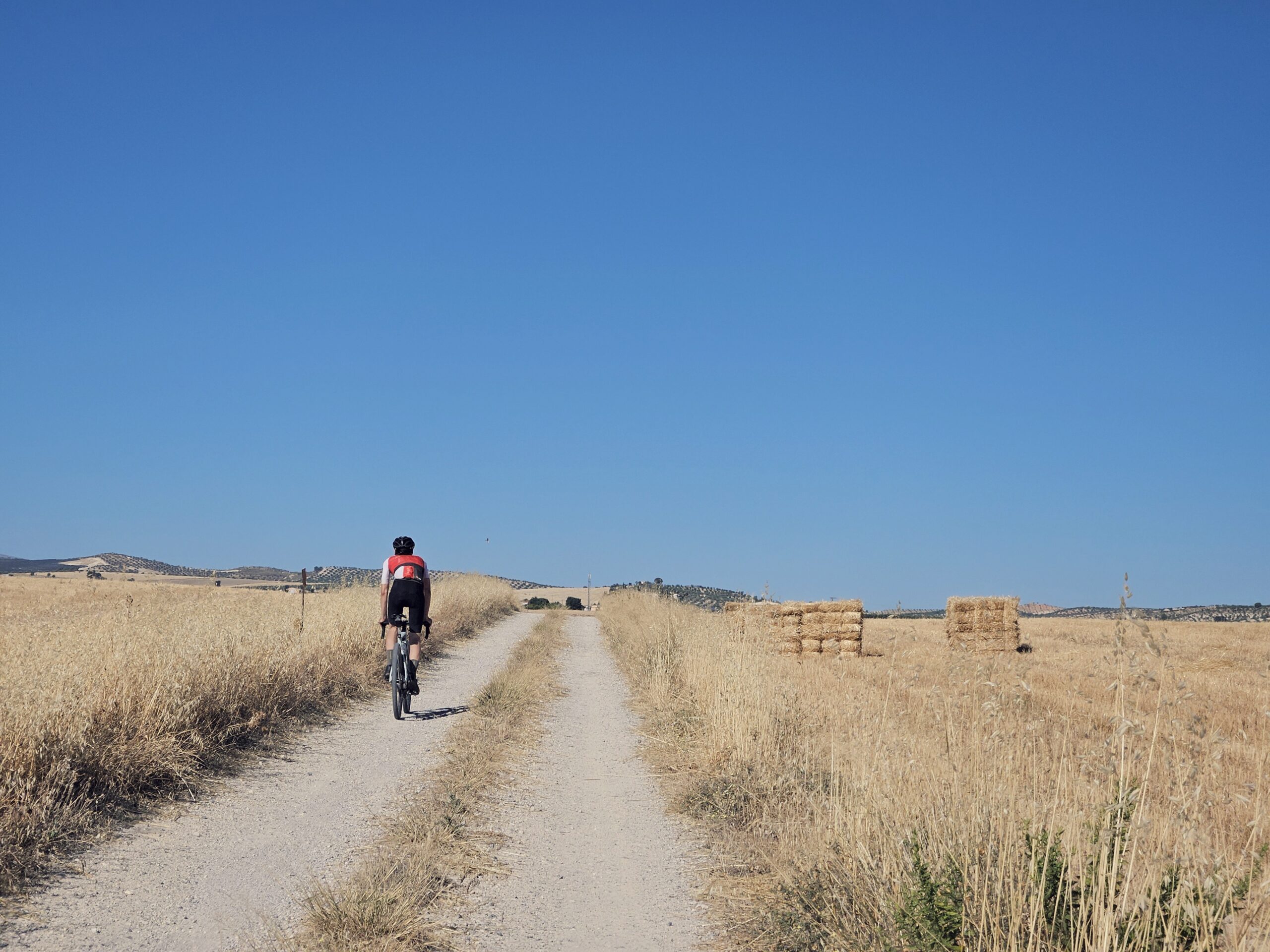 SÚBEME LA CREMALLERA, REY.