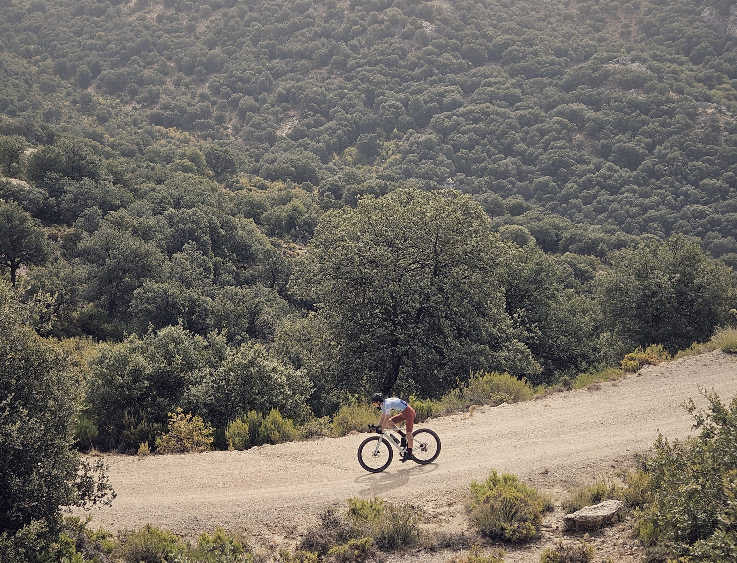 siempre serás el “pro” de alguien