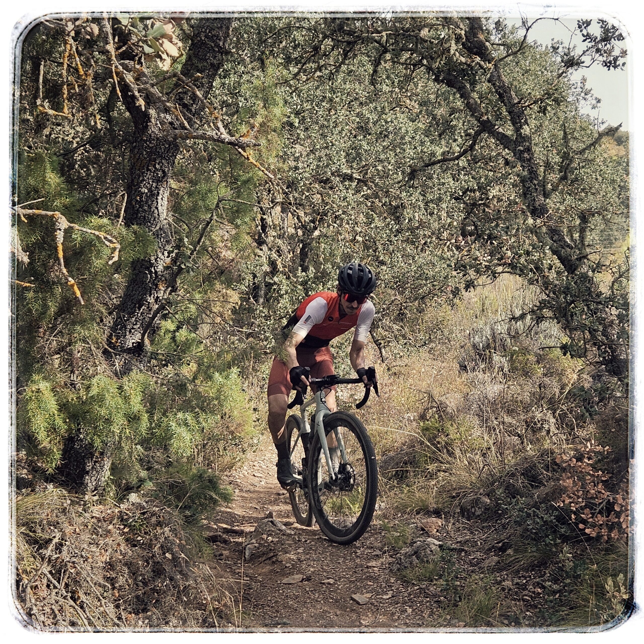 no hay moranco bueno