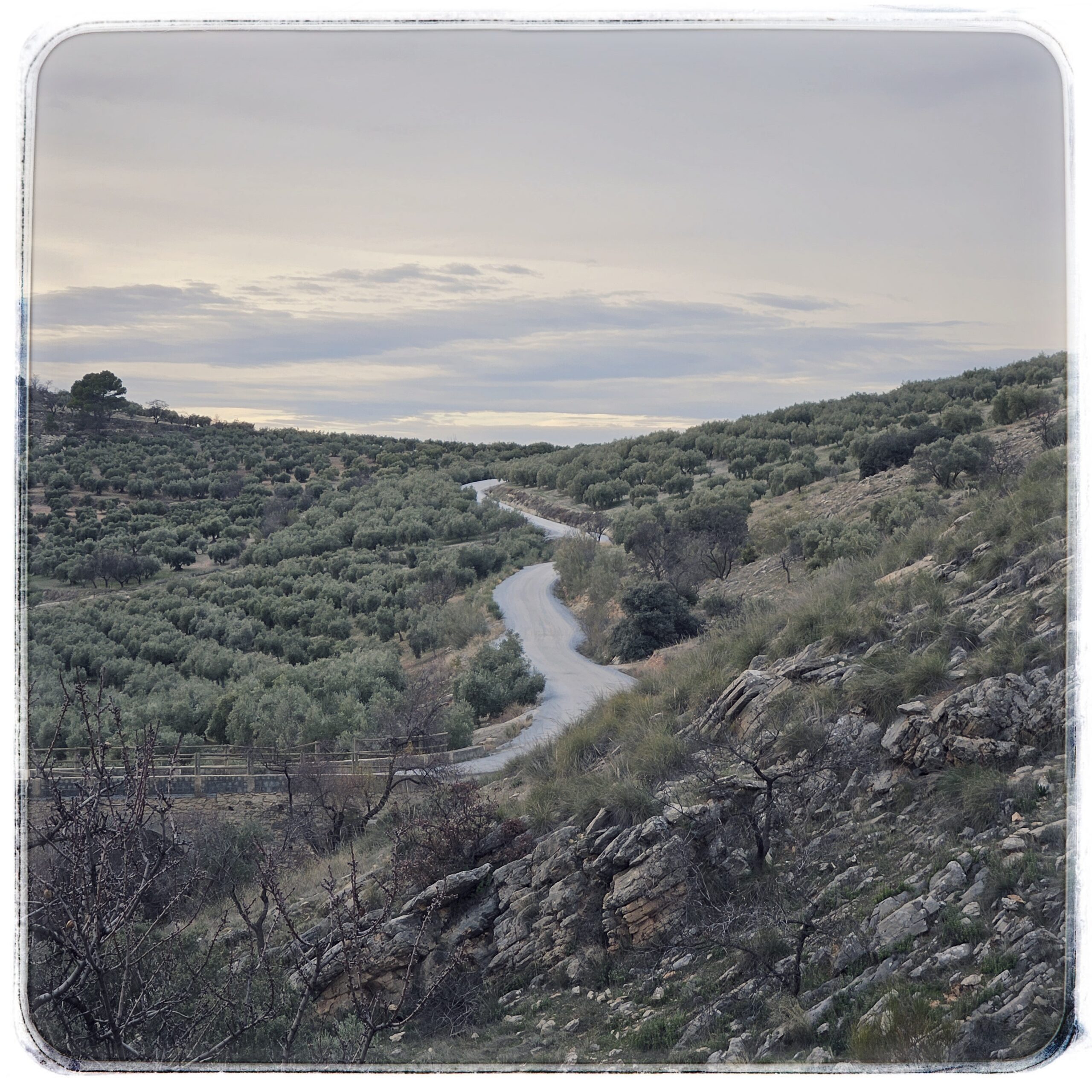 tomarse un anaeróbico