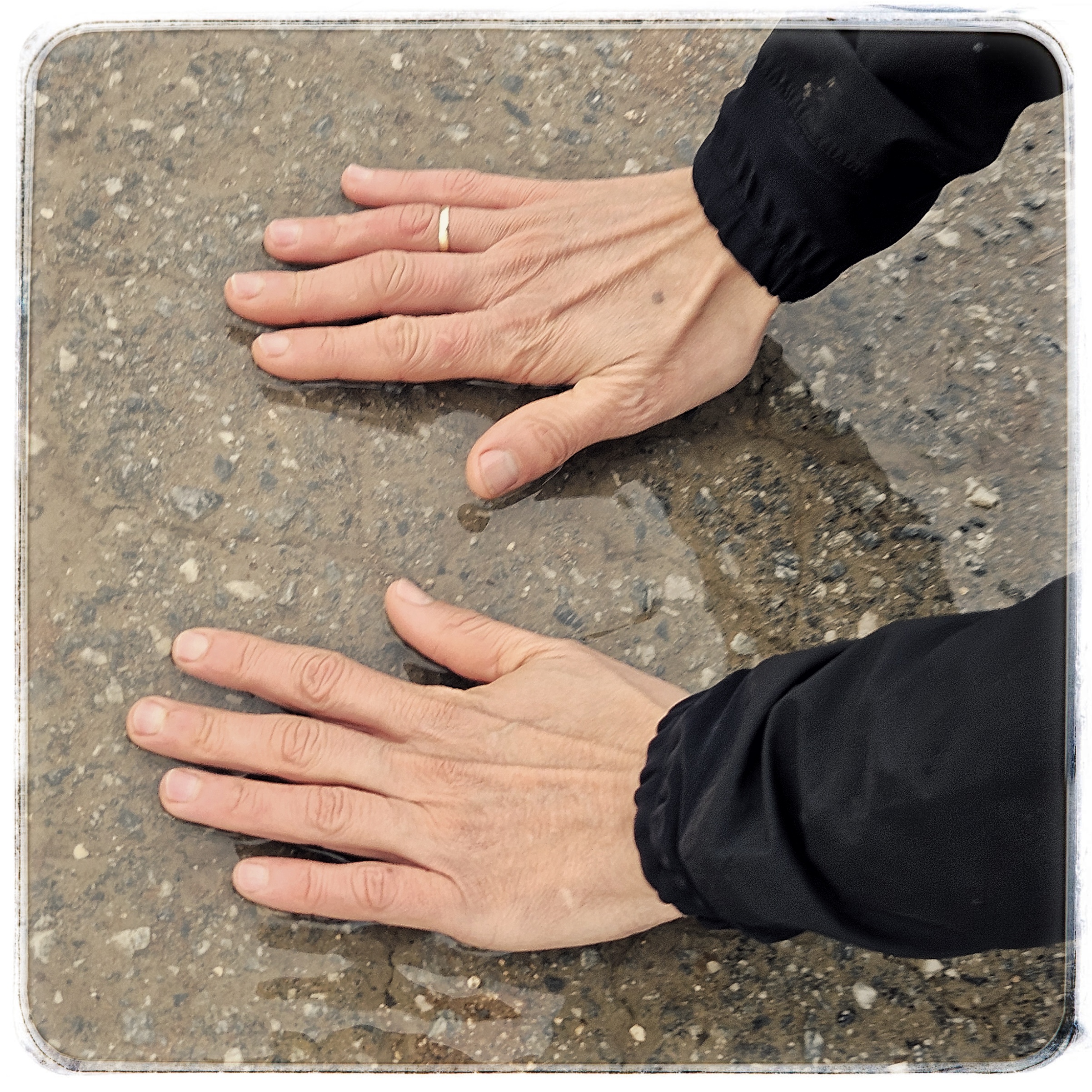 ¡que te metas el gato por el culo!