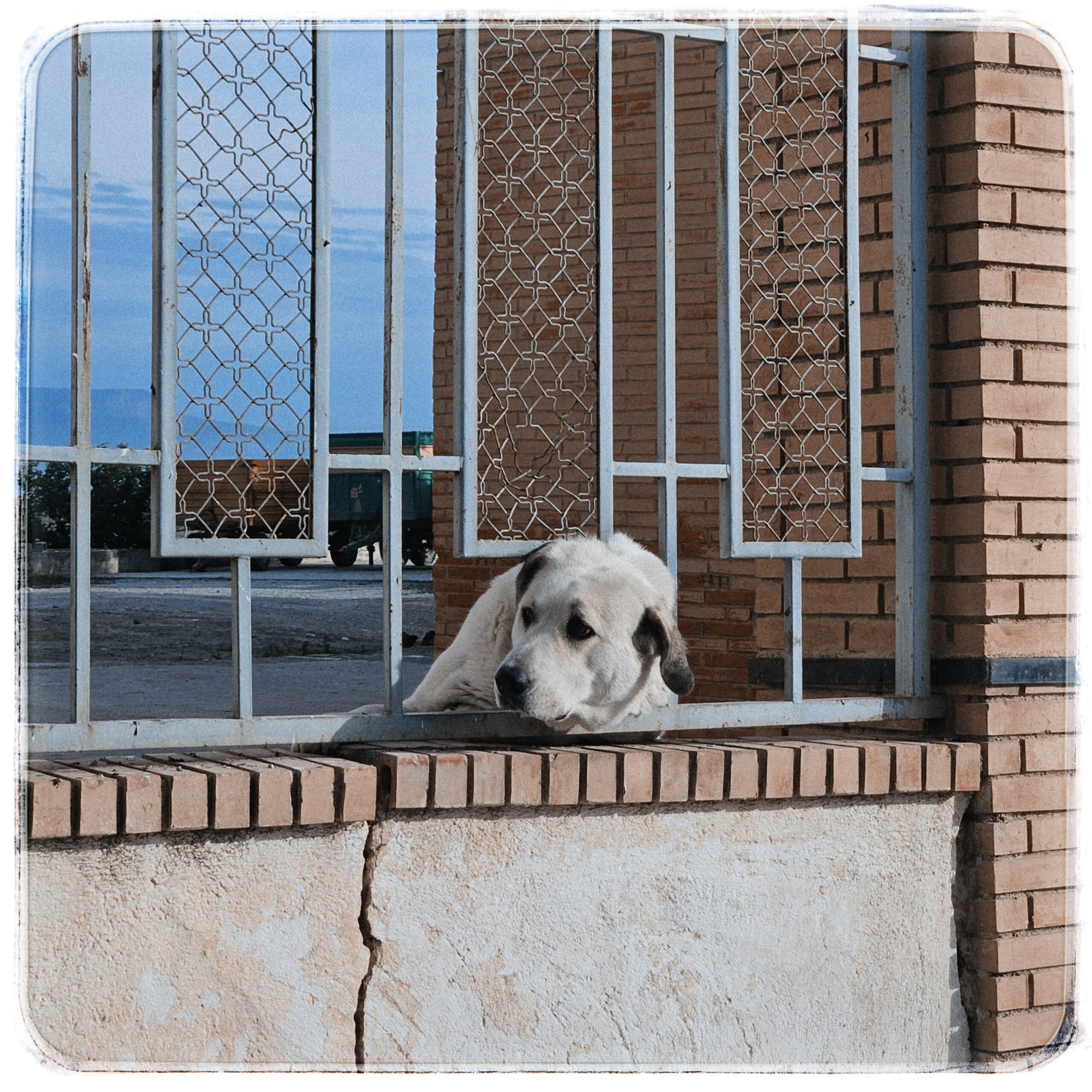 sociopatía registral